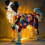 Plemeno psa Border Collie